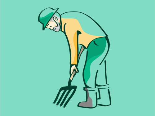 Gardener Lgreen 800X600