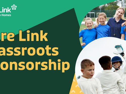 Care Link Grassroots Campaign Website (Apr 25)