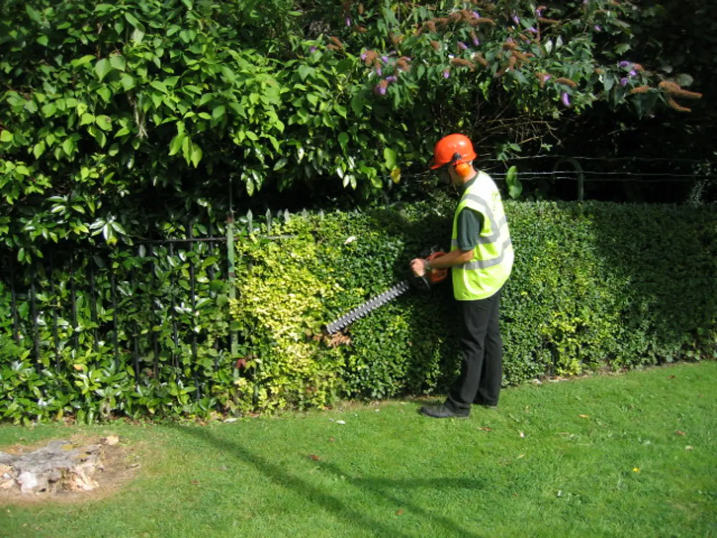 0044 Hedge Cutting Inn Bournville Lane B30 Web Slider