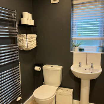 Bathroom No Pictures