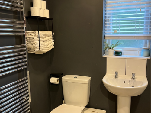 Bathroom No Pictures