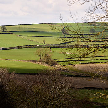 028 Sf Sales Office Showhome Dunford Drive JPEG Right Move 1024X683