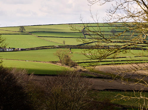 028 Sf Sales Office Showhome Dunford Drive JPEG Right Move 1024X683