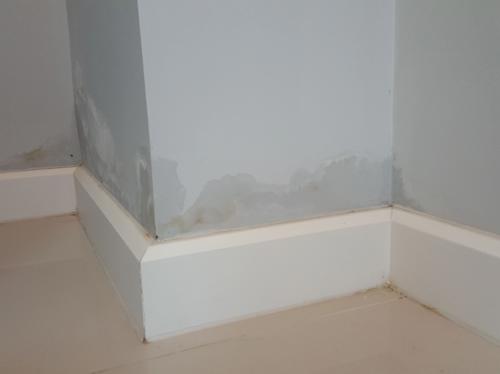 Image of Damp on an internal wall.