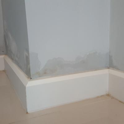 Image of Damp on an internal wall.