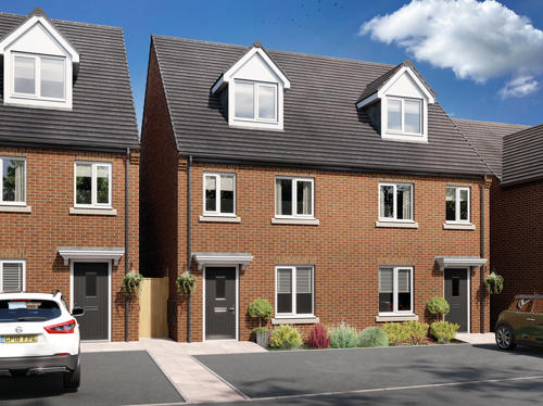 CGI Braxtonnb31