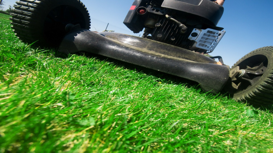 Lawnmower