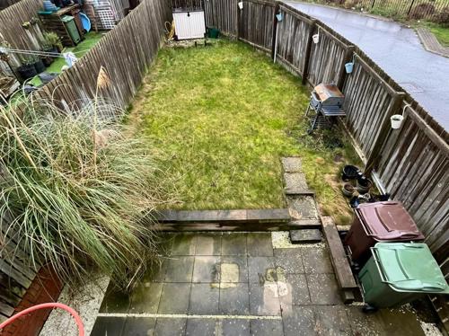 Garden 11