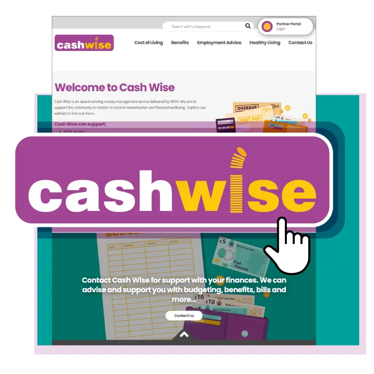 Cash Wise New Website (WDH Homepage)