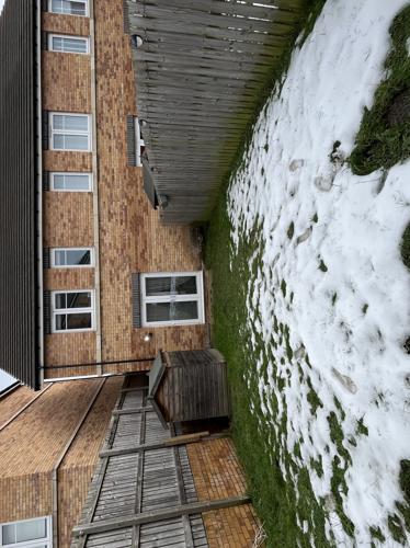 Back Garden