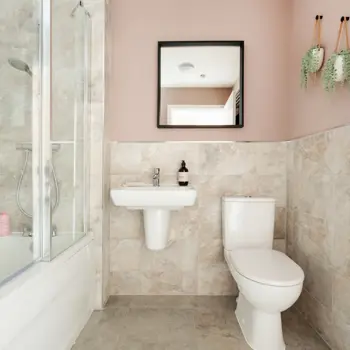 Bathroom Vision