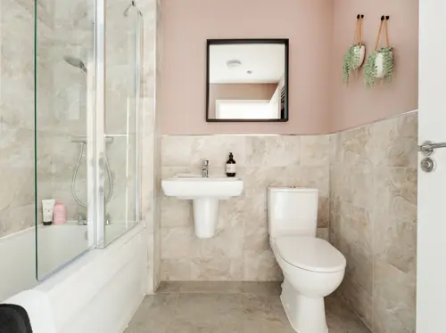 Bathroom Vision