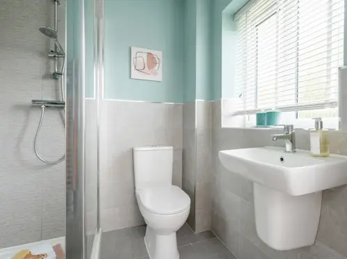 Ensuite Vision